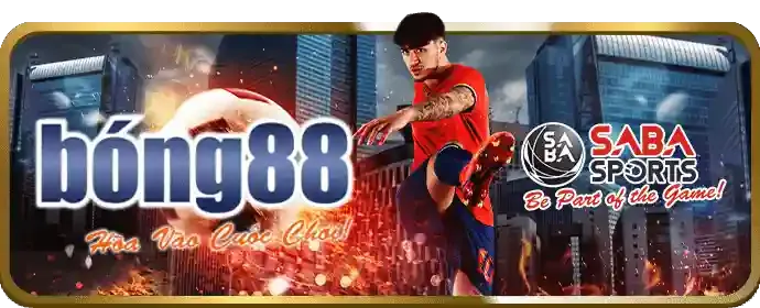 Không nên đặt cược theo cảm tính